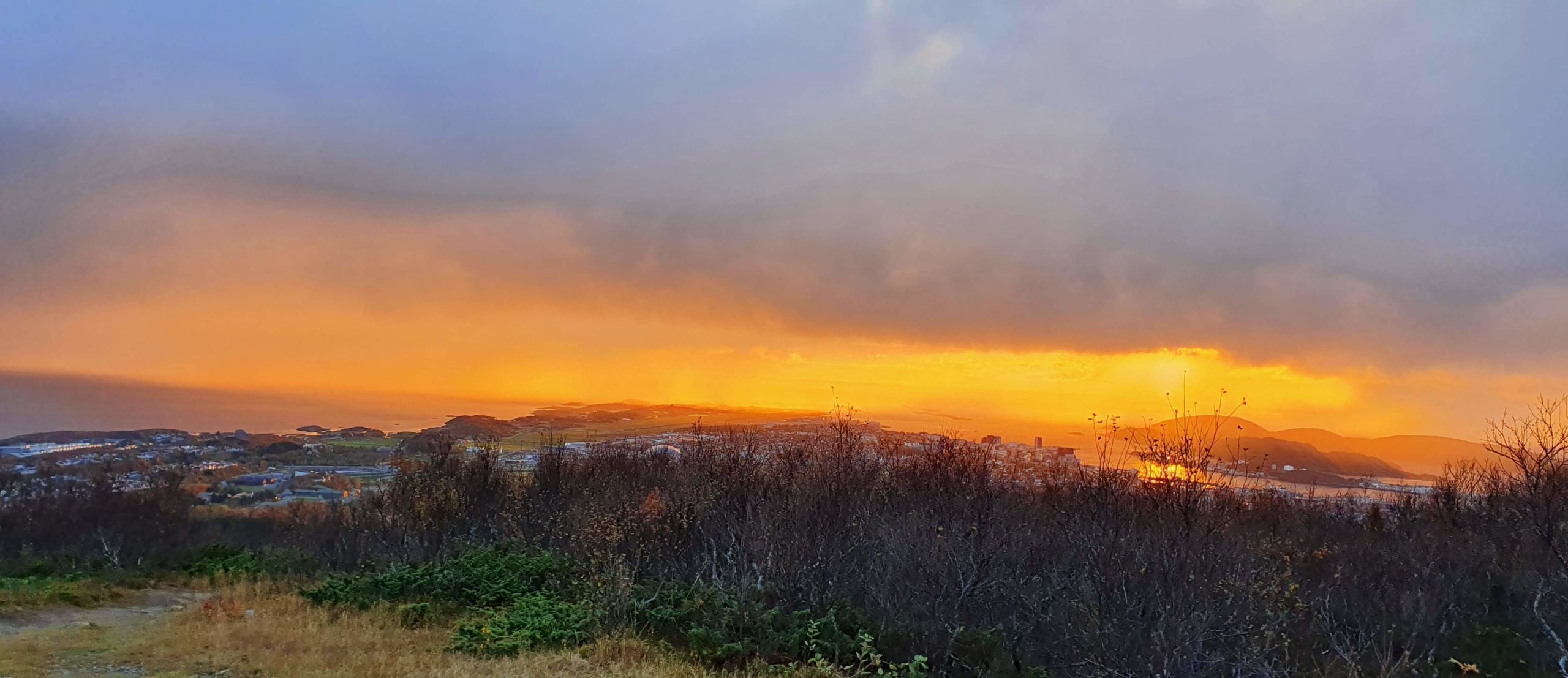 Bodø - Buvvda