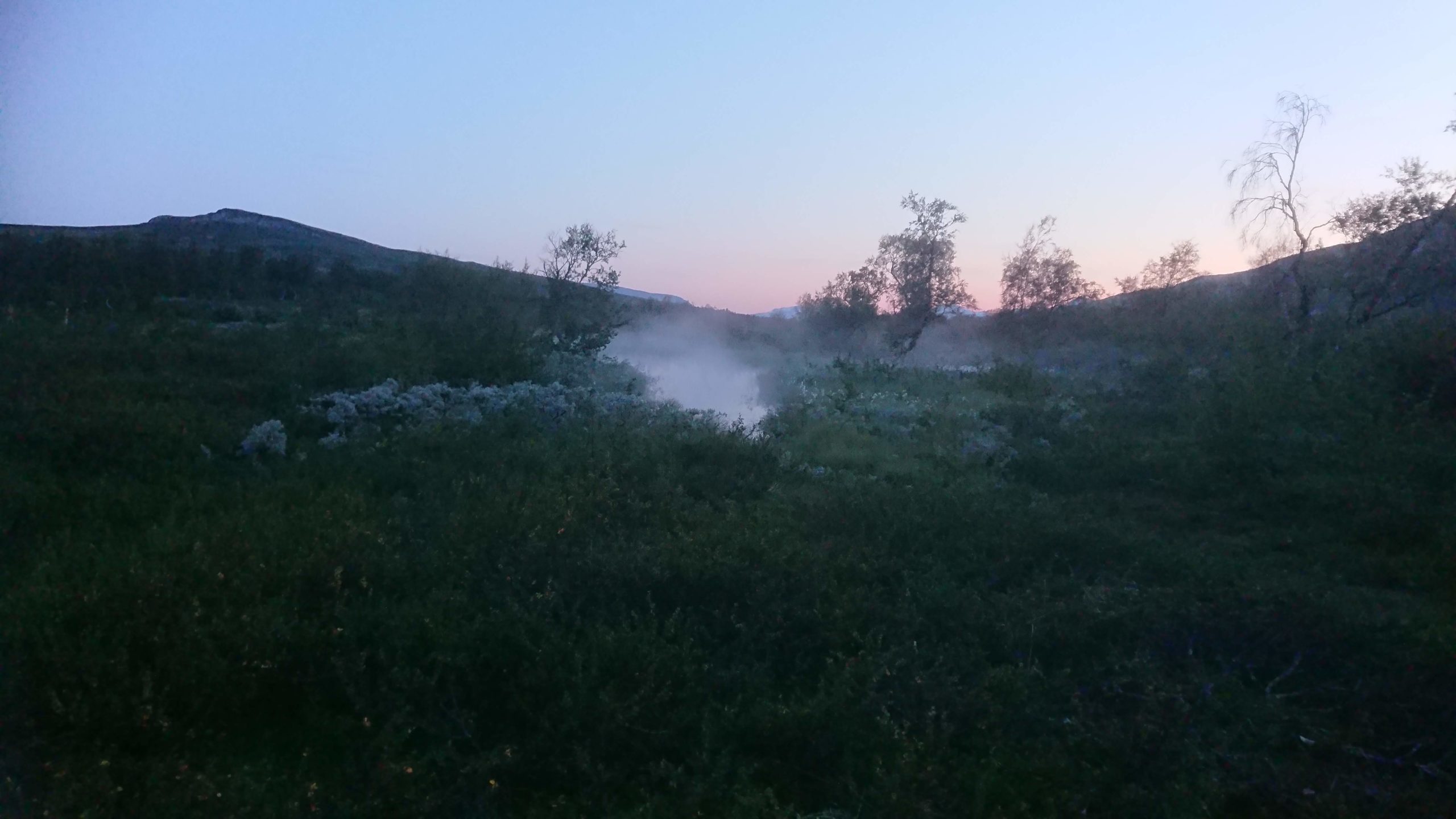 Skärrim, Arjeplog. Mystikk over stallotomter.
Foto ©iVesterli