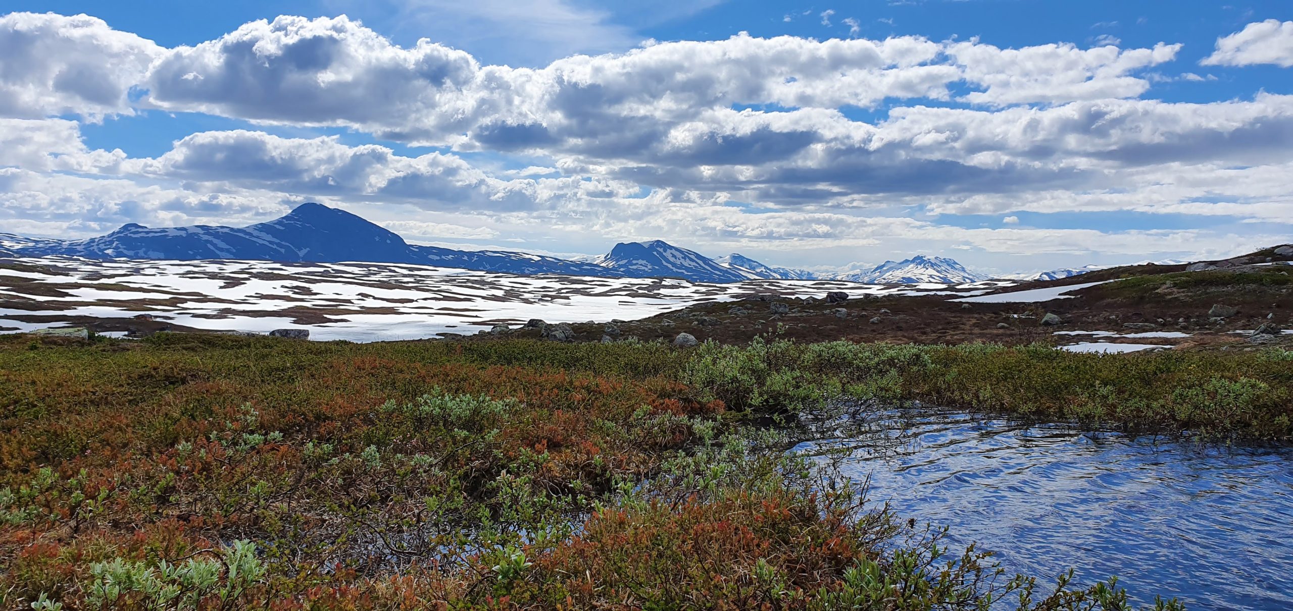 Ramskjelltinden - Ränskilttjåhkkå